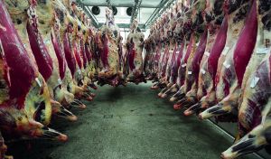 Exportações de carne bovina somam 1,36 milhão de toneladas em 2026
