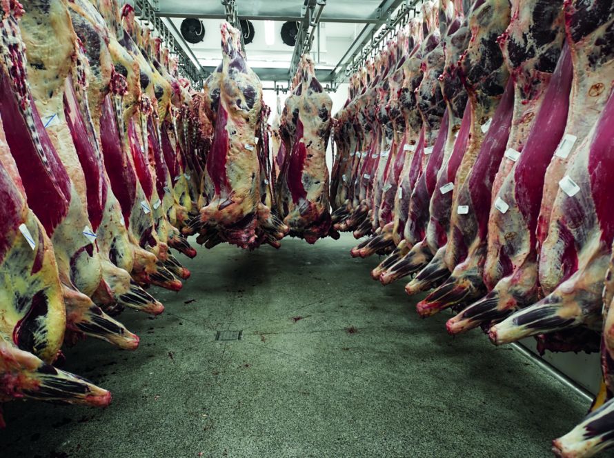 Exportações de carne bovina somam 1,36 milhão de toneladas em 2026