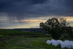NOAA confirma El Niño e Paraná pode enfrentar excesso de chuva nos próximos meses
