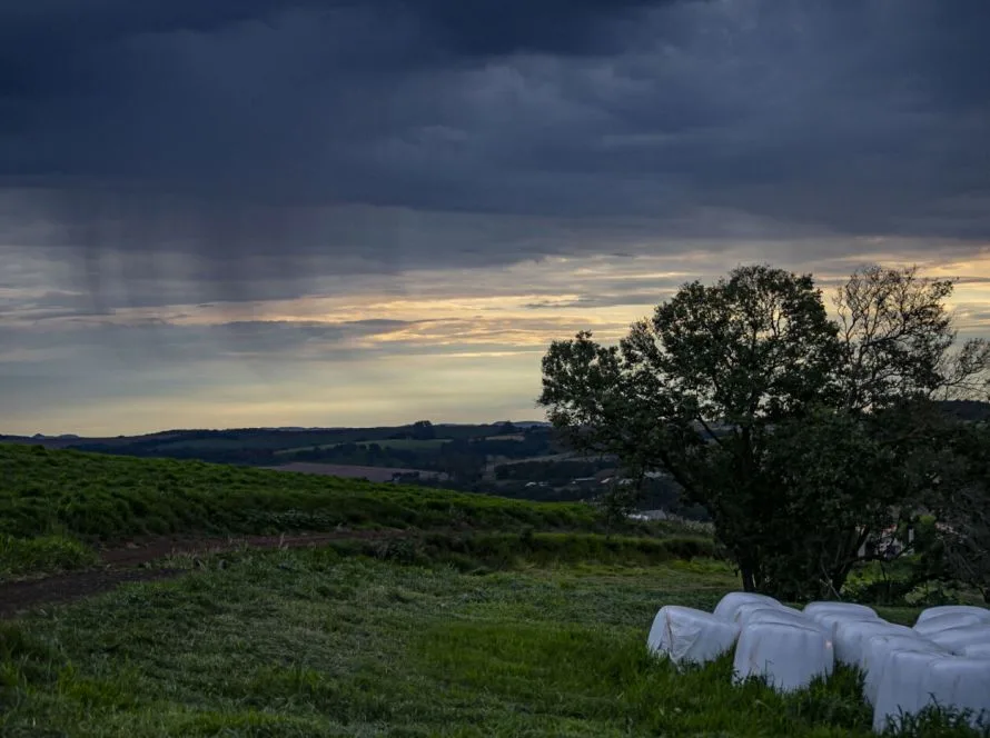 NOAA confirma El Niño e Paraná pode enfrentar excesso de chuva nos próximos meses