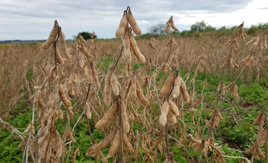 Queda gradual de temperaturas marca transição para período seco no Brasil