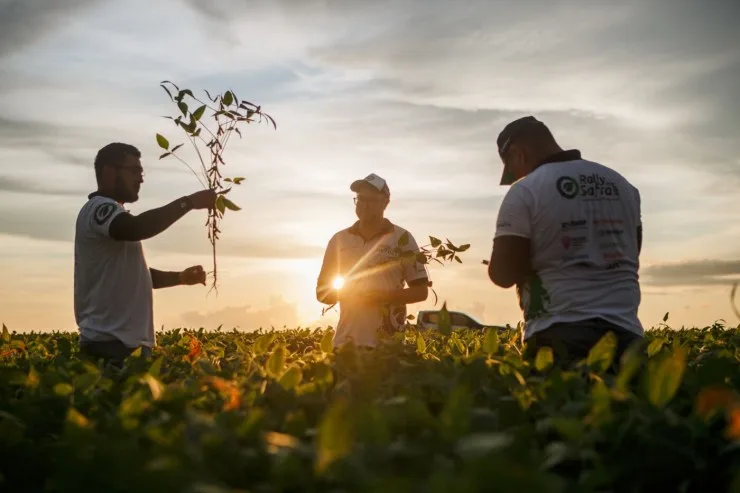 Rally da Safra avalia potencial da segunda safra de milho no Oeste do Paraná