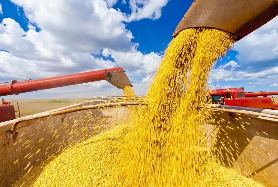 Soja rende US$ 6,3 bilhões ao Brasil e puxa alta das exportações do agronegócio