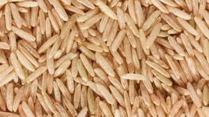 Arroz de terras altas: veja como reduzir perdas com a seca