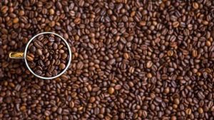 Colheita de café chega a 93% no Cerrado Mineiro