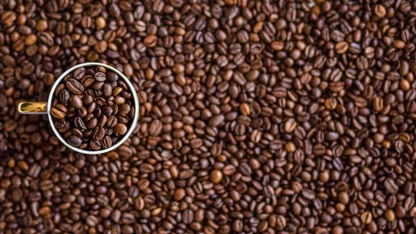Colheita de café chega a 93% no Cerrado Mineiro