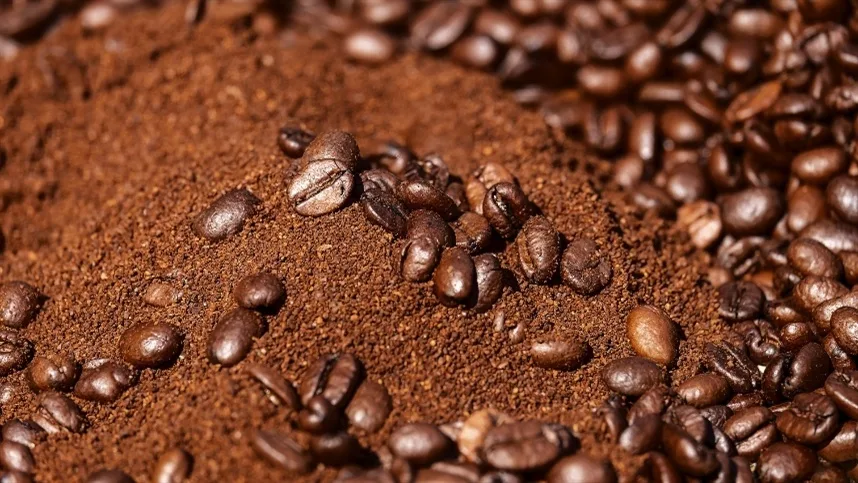 Colheita do café arábica avança, mas qualidade da safra preocupa o setor