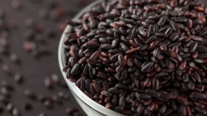Arroz negro ganha espaço entre produtores