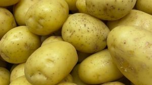 Batata fica mais barata com avanço da colheita