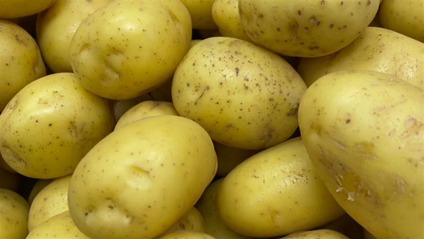 Batata fica mais barata com avanço da colheita