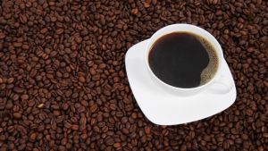 Café: manejo da florada pode definir a próxima safra