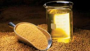 Câmbio sustenta derivados da soja no mercado brasileiro