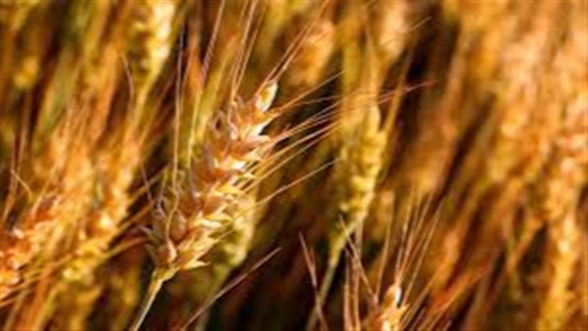 As chuvas voltaram a preocupar as lavouras