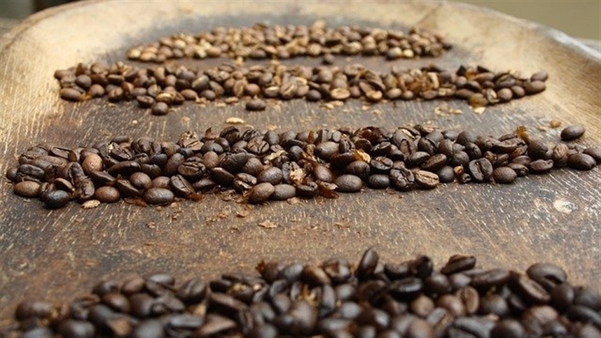 Exportação de café tem melhor agosto da história