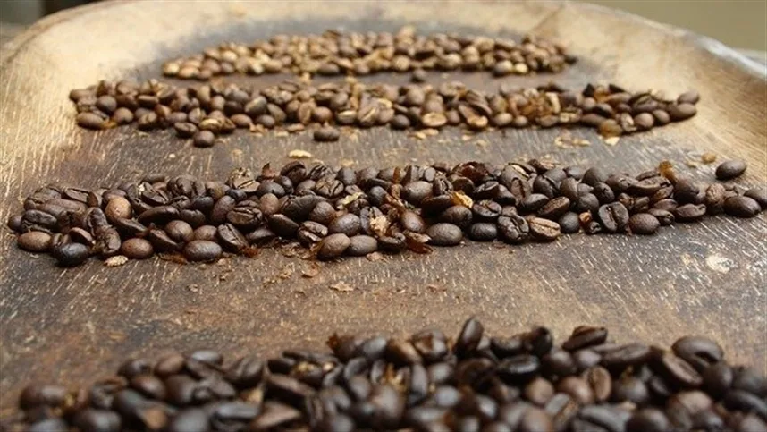 Exportação de café tem melhor agosto da história