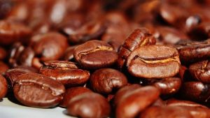 Exportações de café chegam a 4,16 milhões de sacas
