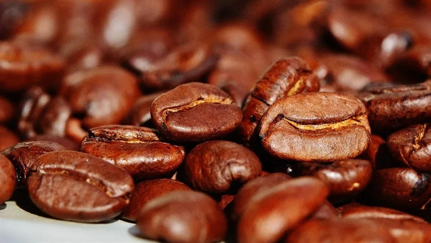 Exportações de café chegam a 4,16 milhões de sacas