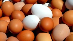 Milho sobe e reduz poder de compra do produtor de ovos