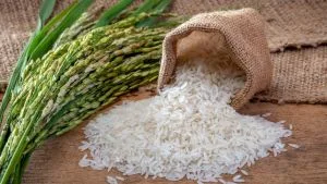 Oferta menor sustenta alta do arroz em casca no Rio Grande do Sul