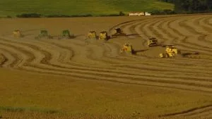 Paraná chega a 3,4% da área de soja plantada