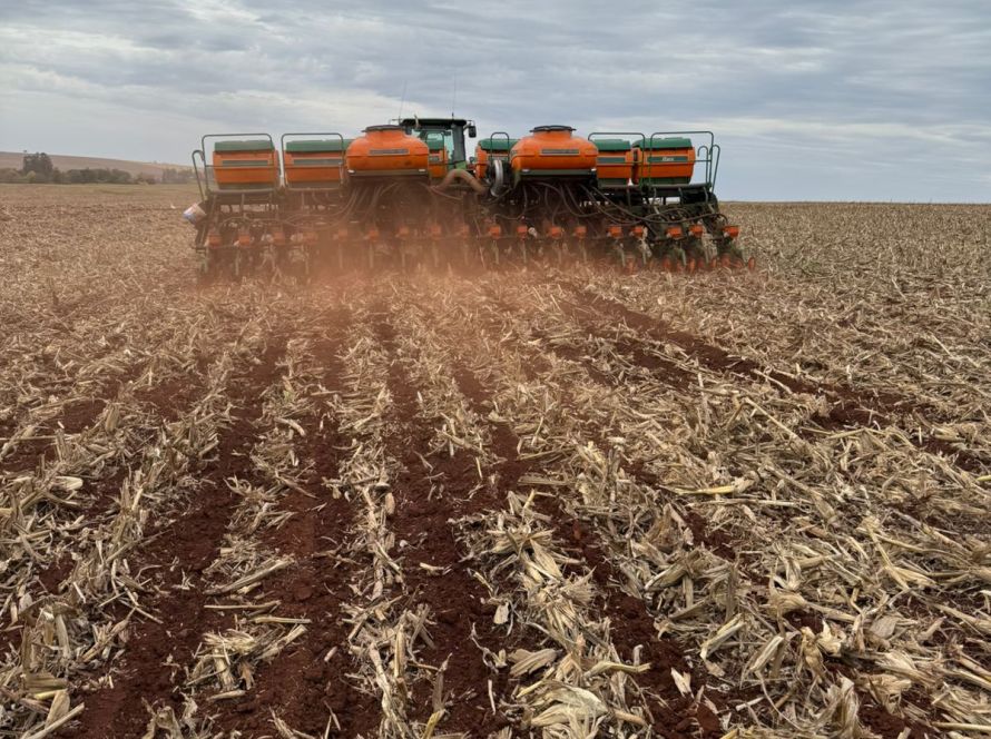 Plantio da soja acelera para 3,9% após chuvas liberarem avanço em áreas de MT