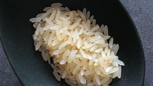 Plantio do arroz: como regular a profundidade