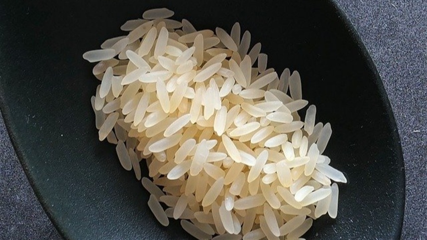 Plantio do arroz: como regular a profundidade