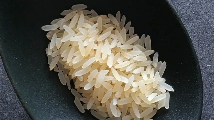Plantio do arroz: como regular a profundidade