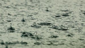 São Paulo terá frio e chuva forte neste fim de semana