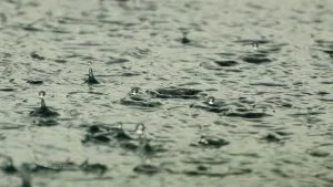 São Paulo terá frio e chuva forte neste fim de semana