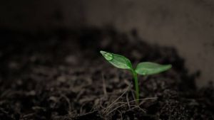 Seminário Duas Safras chega a Ijuí com foco na rentabilidade e na produção de ano inteiro