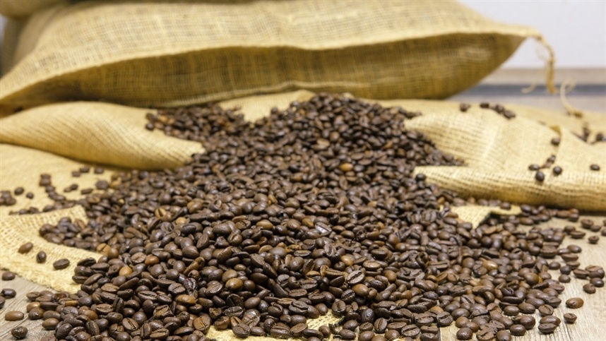 Exportações de café robusta avançam 66,6%