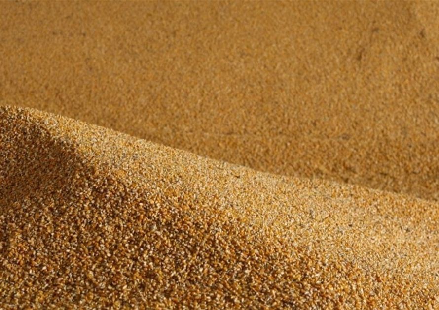 Exportações de milho ampliam disputa entre Brasil e EUA