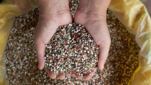 Fertilizantes já estão contratados para 90% da soja