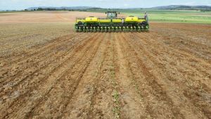 Mato Grosso semeia 10,23% da soja e mantém ritmo abaixo da safra 2025/26