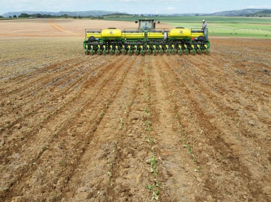 Mato Grosso semeia 10,23% da soja e mantém ritmo abaixo da safra 2025/26