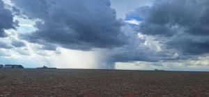 Notícias Agrícolas encontra diferentes largadas em MT: de lavouras mirando 80 sc/ha a plantio parado por falta de chuva