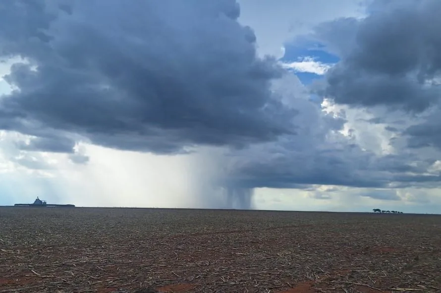 Notícias Agrícolas encontra diferentes largadas em MT: de lavouras mirando 80 sc/ha a plantio parado por falta de chuva