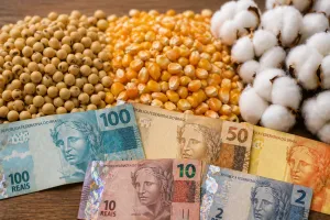 Soja e algodão aceleram vendas da safra 26/27 em MT, enquanto milho segue mais cauteloso